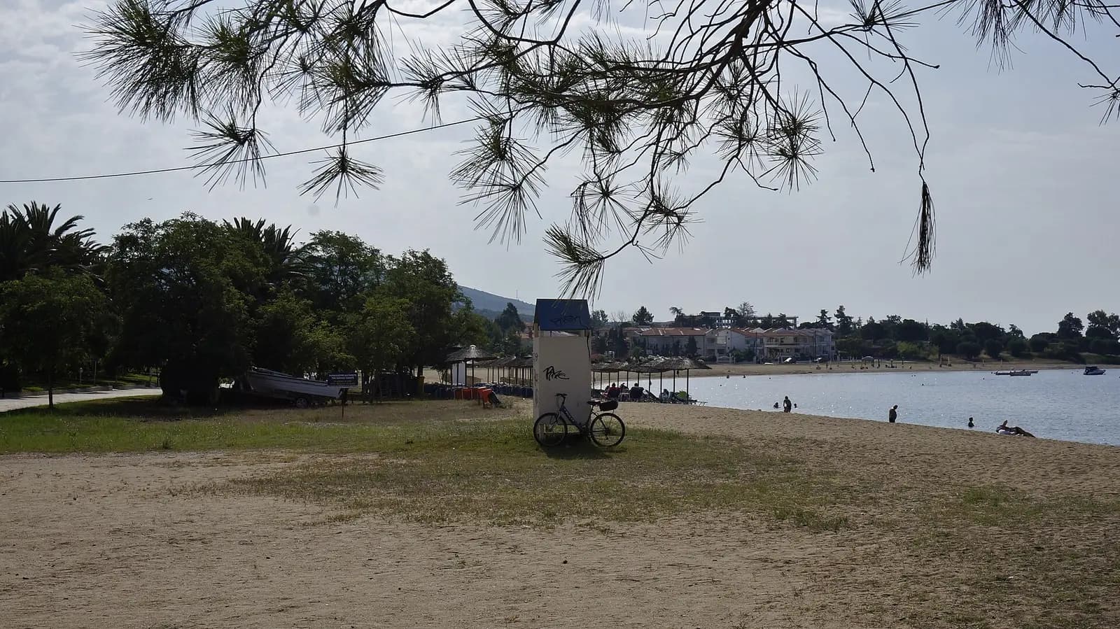 Bucht mit Pinien in Chalkidiki