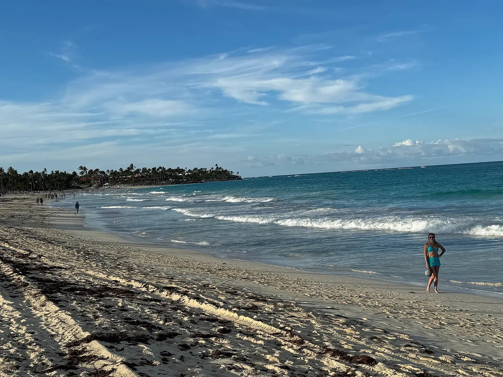 Palmenstrand in Punta Cana
