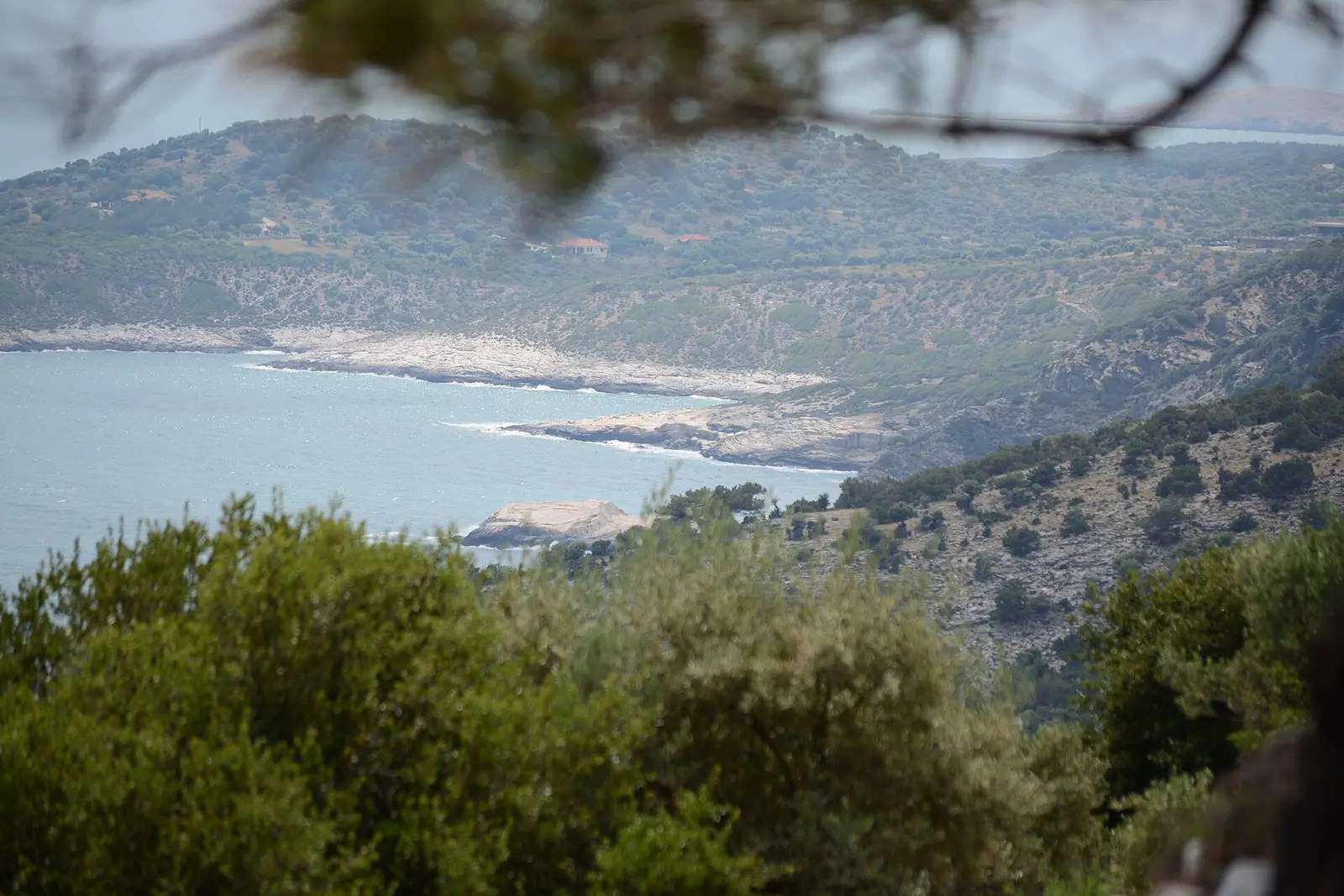 Grüne Küste und Strand auf Thassos
